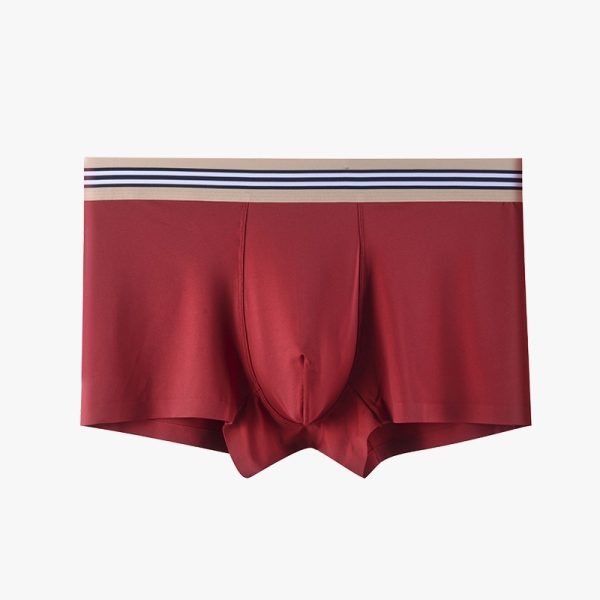 Summer Antibacterial Breathable Mid-waist Boxers Men - Image 2